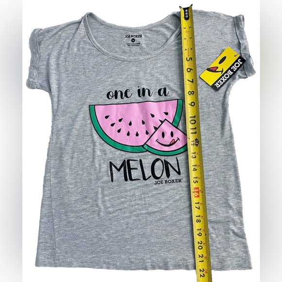 Joe Boxer Watermelon “One In A Melon” Graphic Tee Gray NWT Medium - Picture 6 of 7